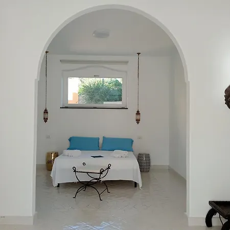 Sikelia Elegant *
